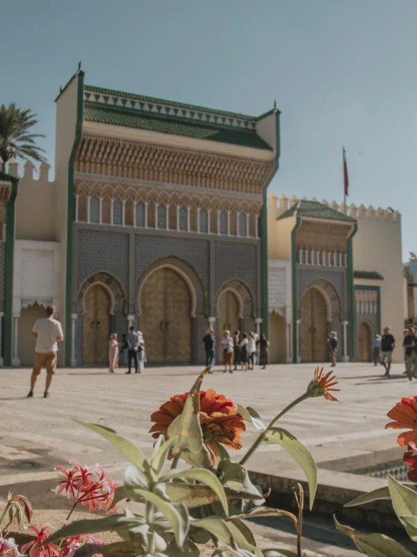 Tours From Fes