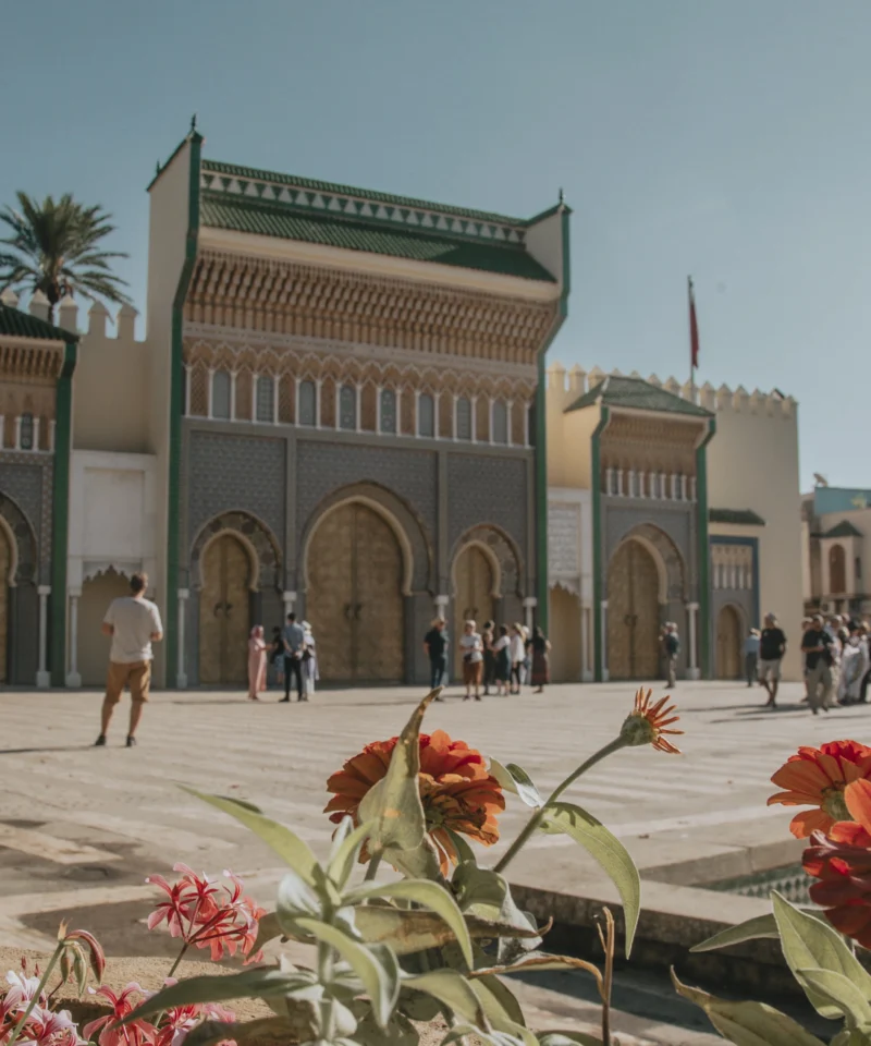 Tours From Fes